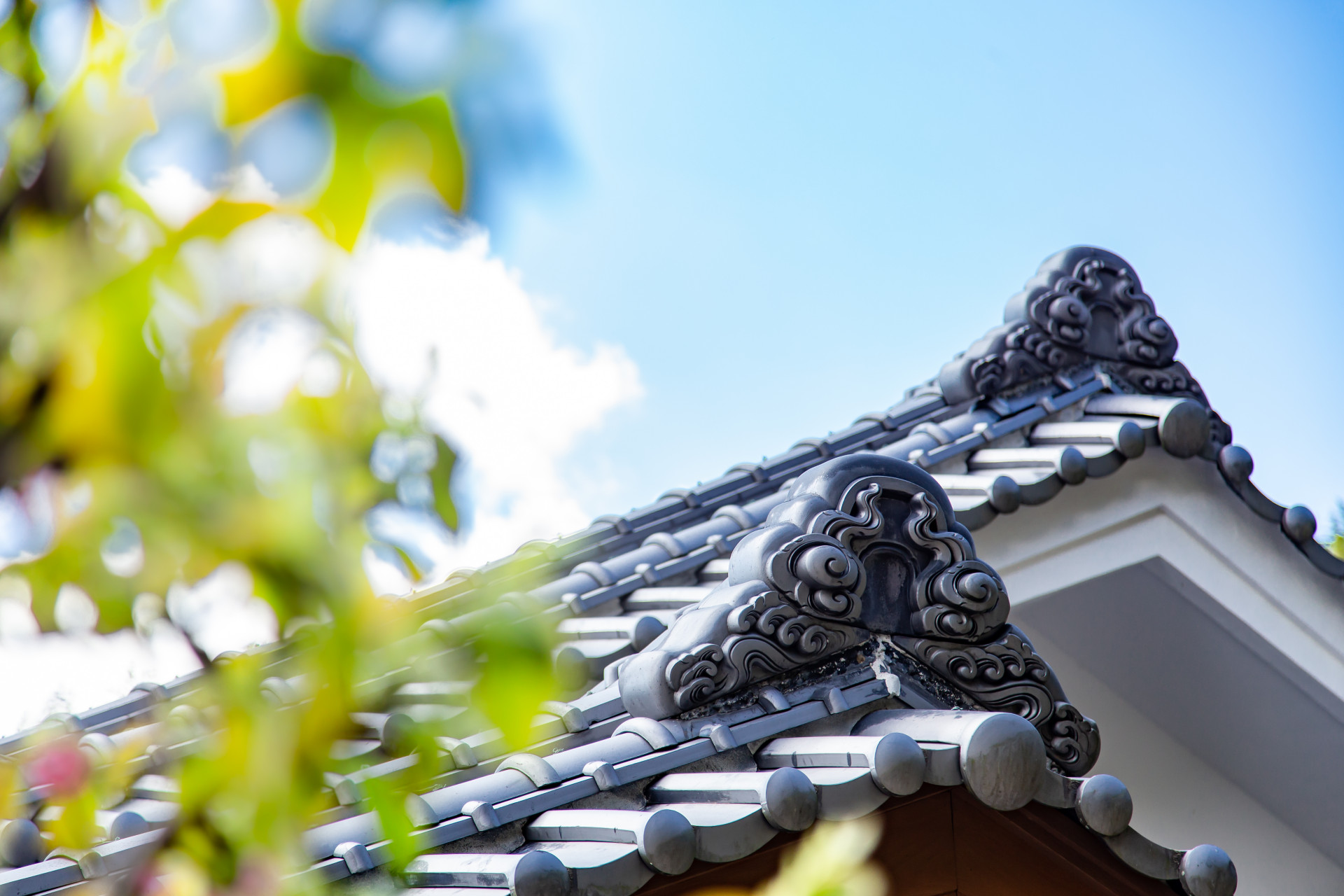 世界一「心ときめく」チャレンジができる場所。農業を中心に広がる未来。