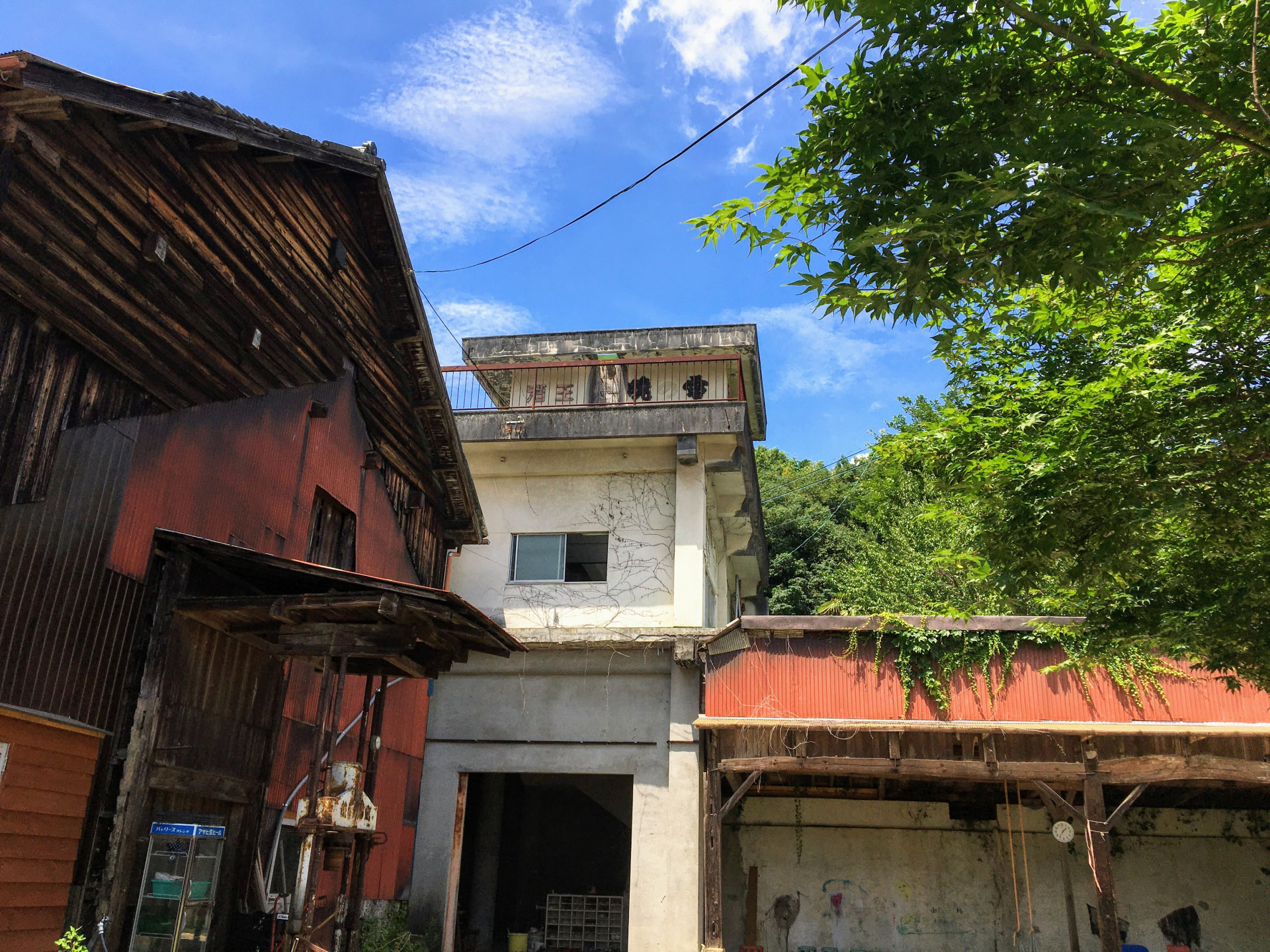 先生は町の人。時間割は自分次第。いまを生きながら「わたしのこたえ」を創る、想いでつながった３人が豊後大野で始めたここのね自由な学校。