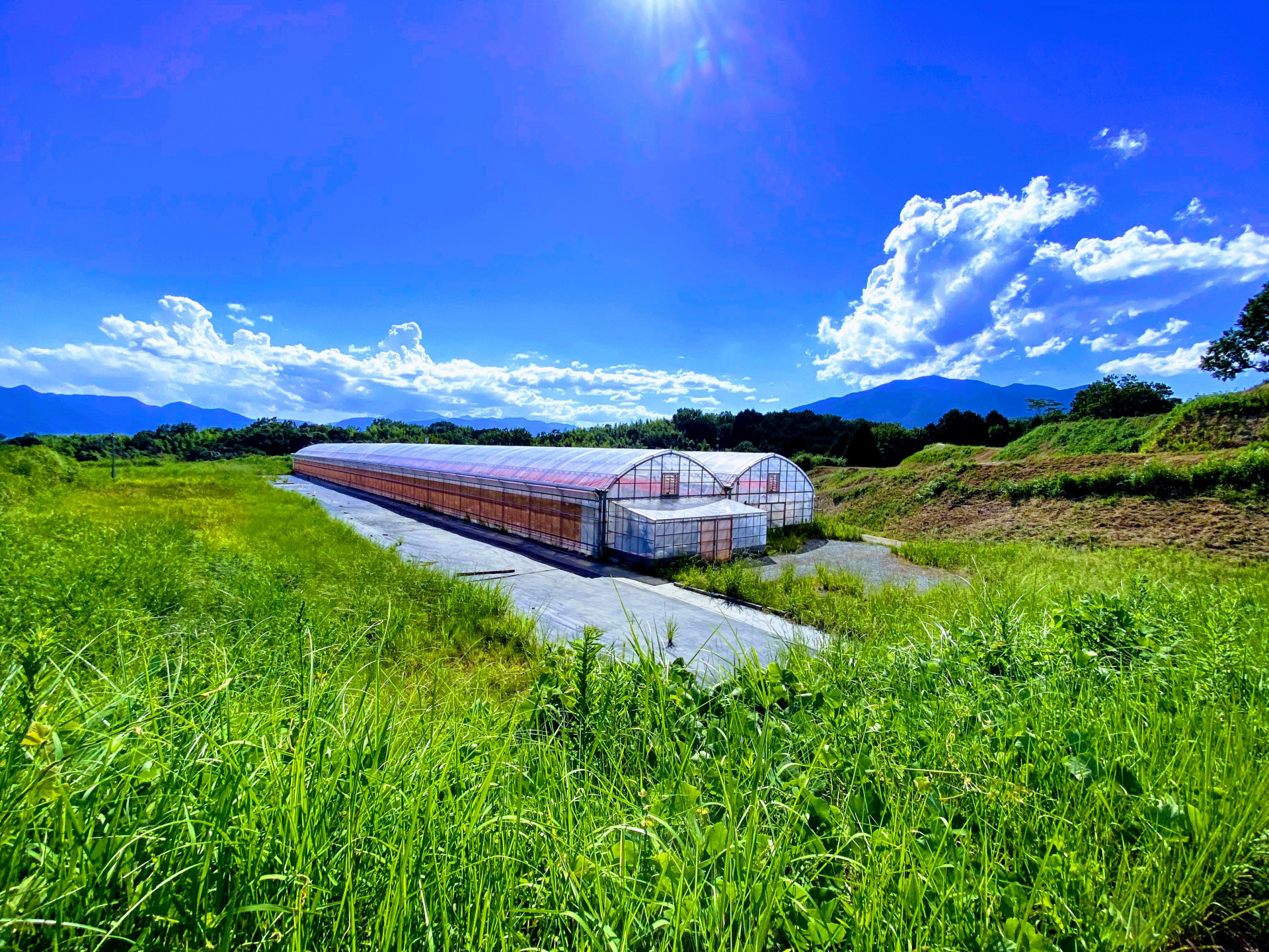 世界一「心ときめく」チャレンジができる場所。農業を中心に広がる未来。