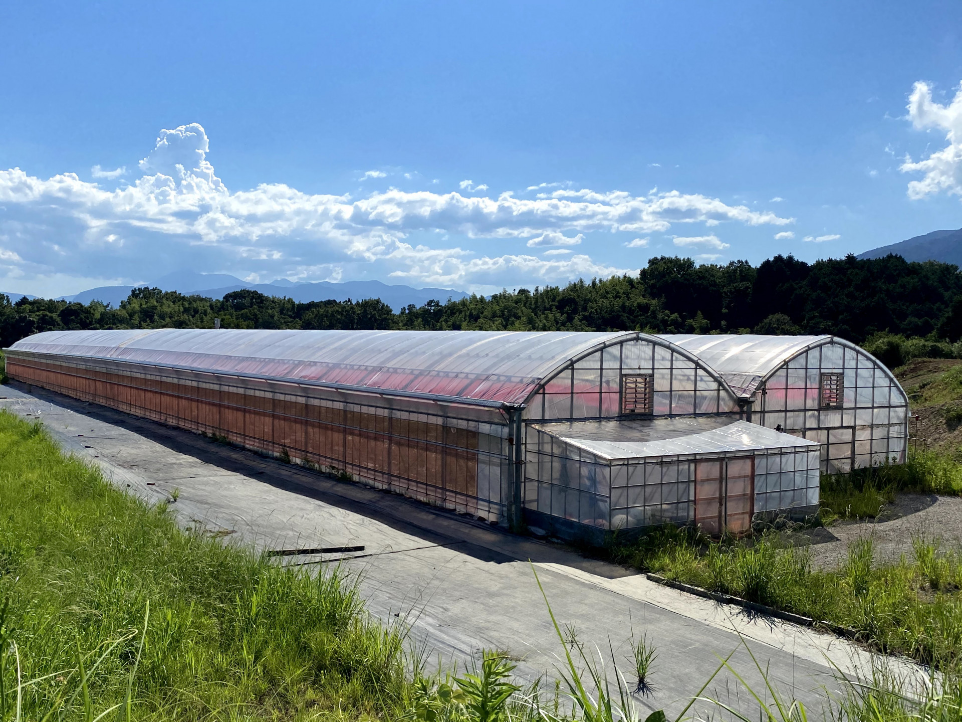 リモージュ農園