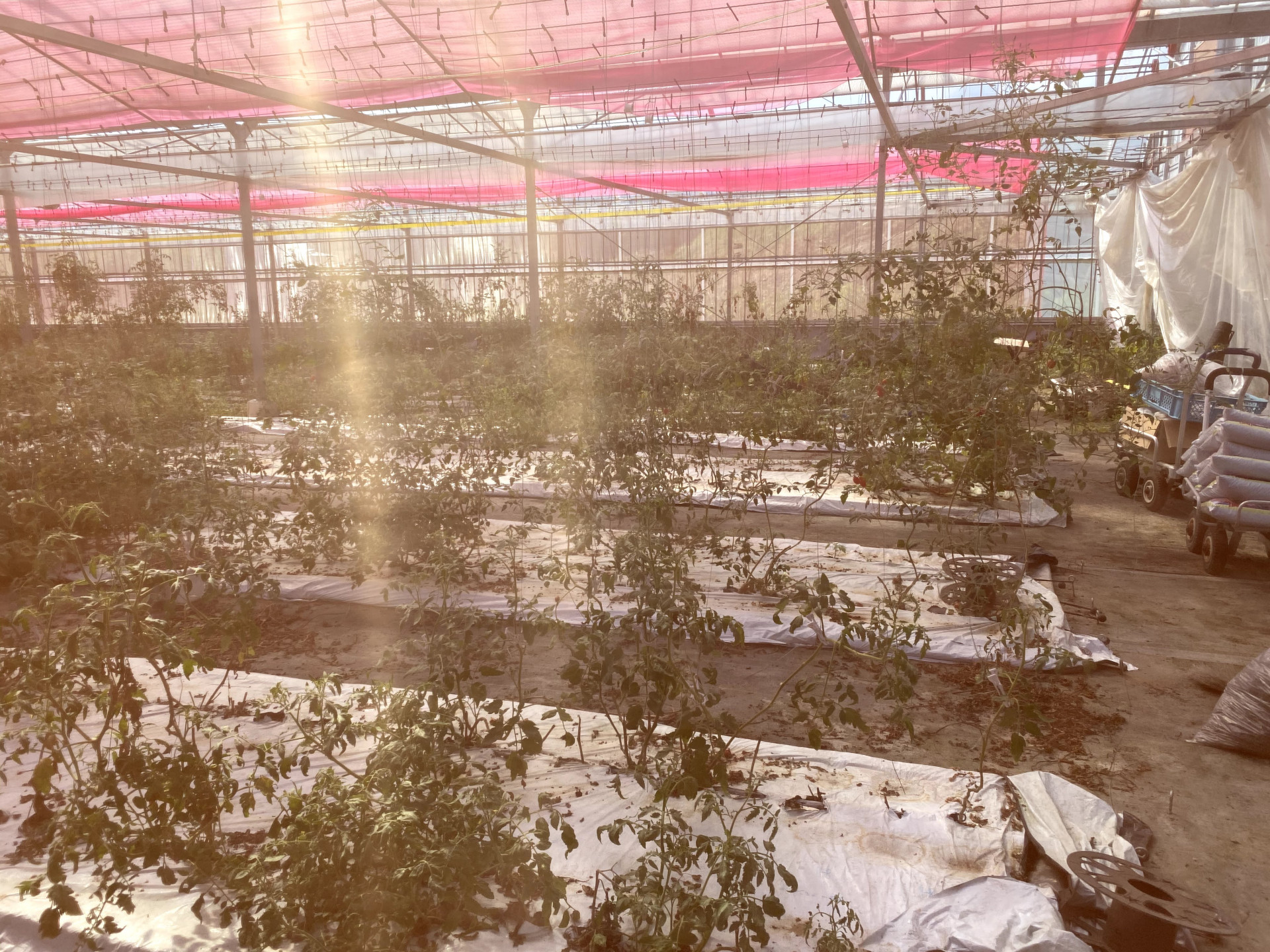 世界一「心ときめく」チャレンジができる場所。農業を中心に広がる未来。