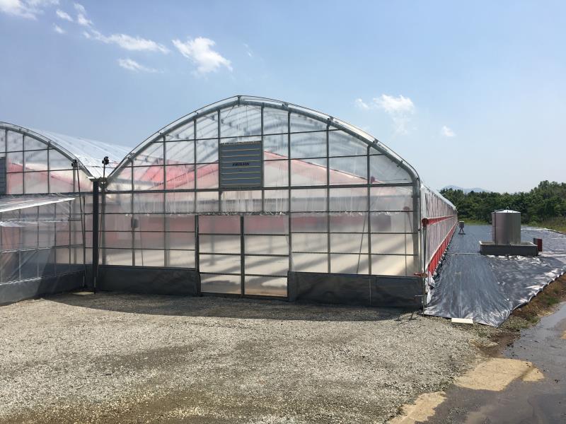 世界一「心ときめく」チャレンジができる場所。農業を中心に広がる未来。