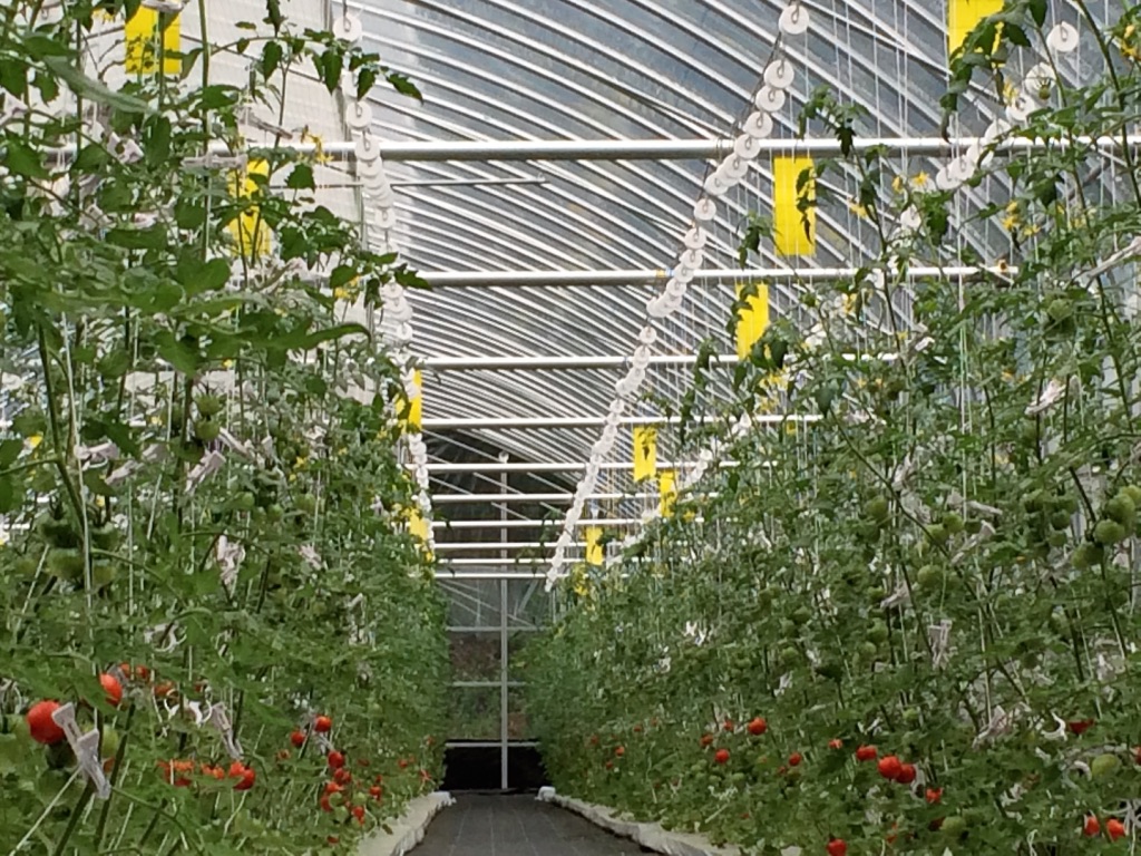 世界一「心ときめく」チャレンジができる場所。農業を中心に広がる未来。