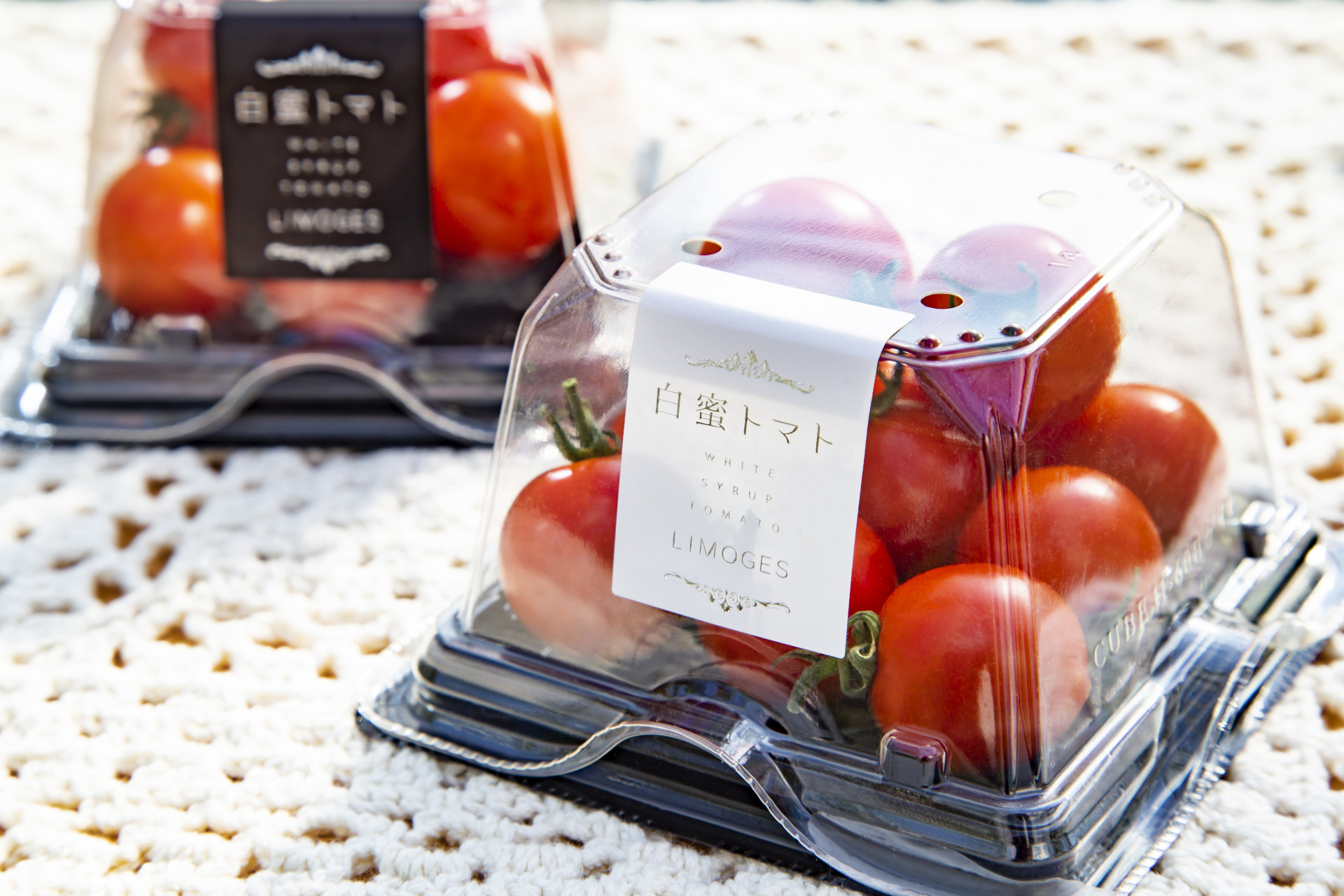 世界一「心ときめく」チャレンジができる場所。農業を中心に広がる未来。