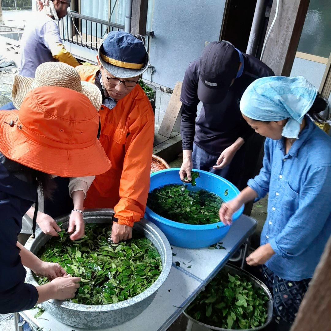 ふらり流れ着いた耶馬溪で二人らしい田舎暮らしを模索する日々。
