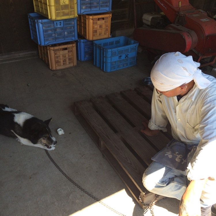自分で作った自転車で旅をして、気づけば流れ着いた佐伯。仲間と好きなことをして緩くホームを生きる佐伯暮らし。