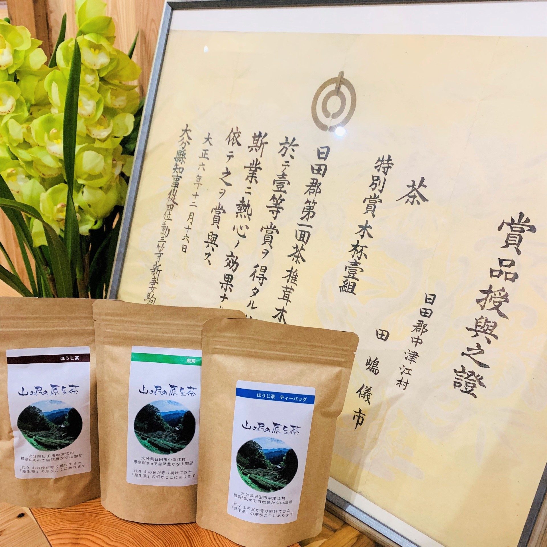 東京・アメリカ育ち。日田市中津江村を元気にしてくれるアクティブな田島山業のお嫁さん。