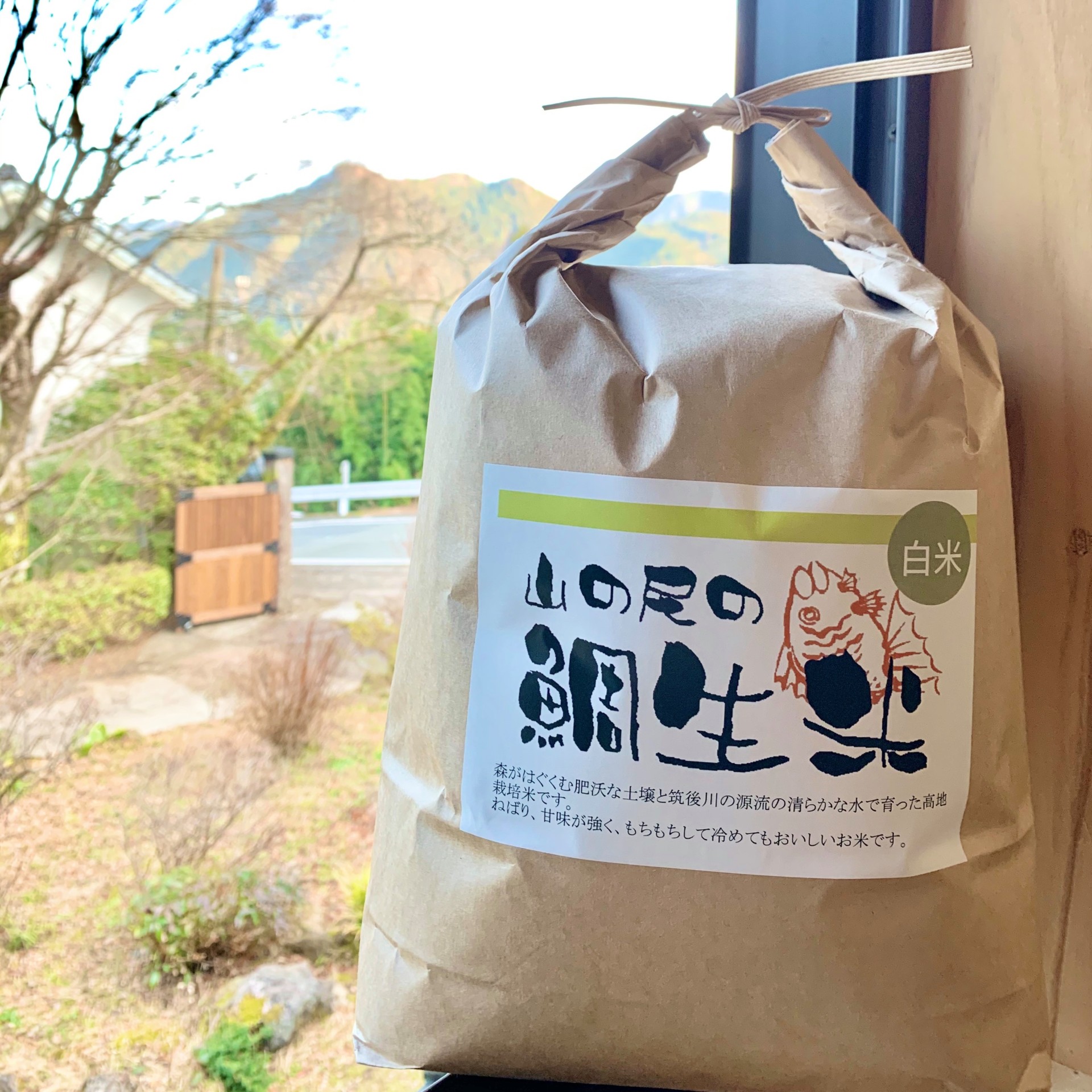 東京・アメリカ育ち。日田市中津江村を元気にしてくれるアクティブな田島山業のお嫁さん。