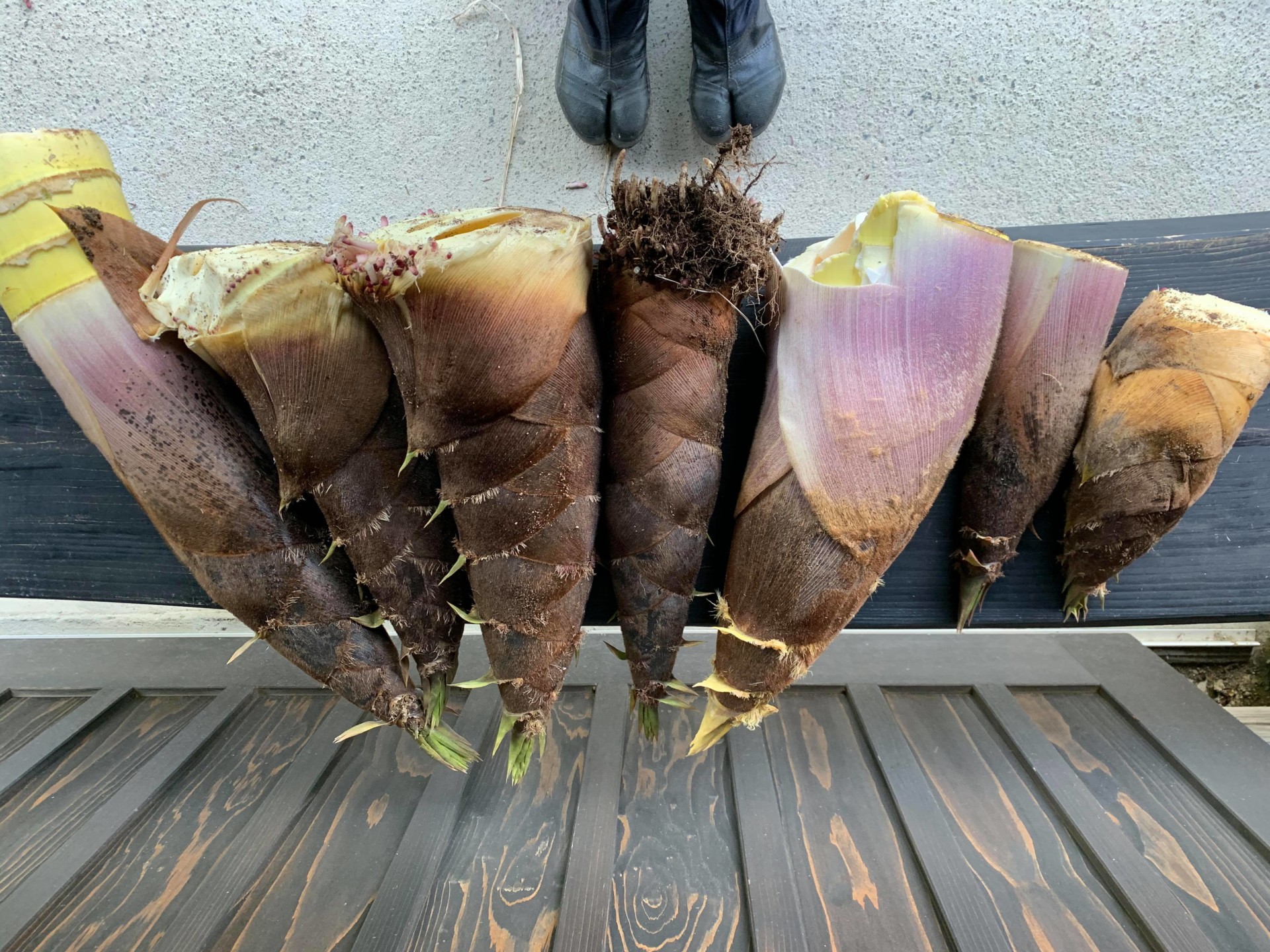 東京・アメリカ育ち。日田市中津江村を元気にしてくれるアクティブな田島山業のお嫁さん。