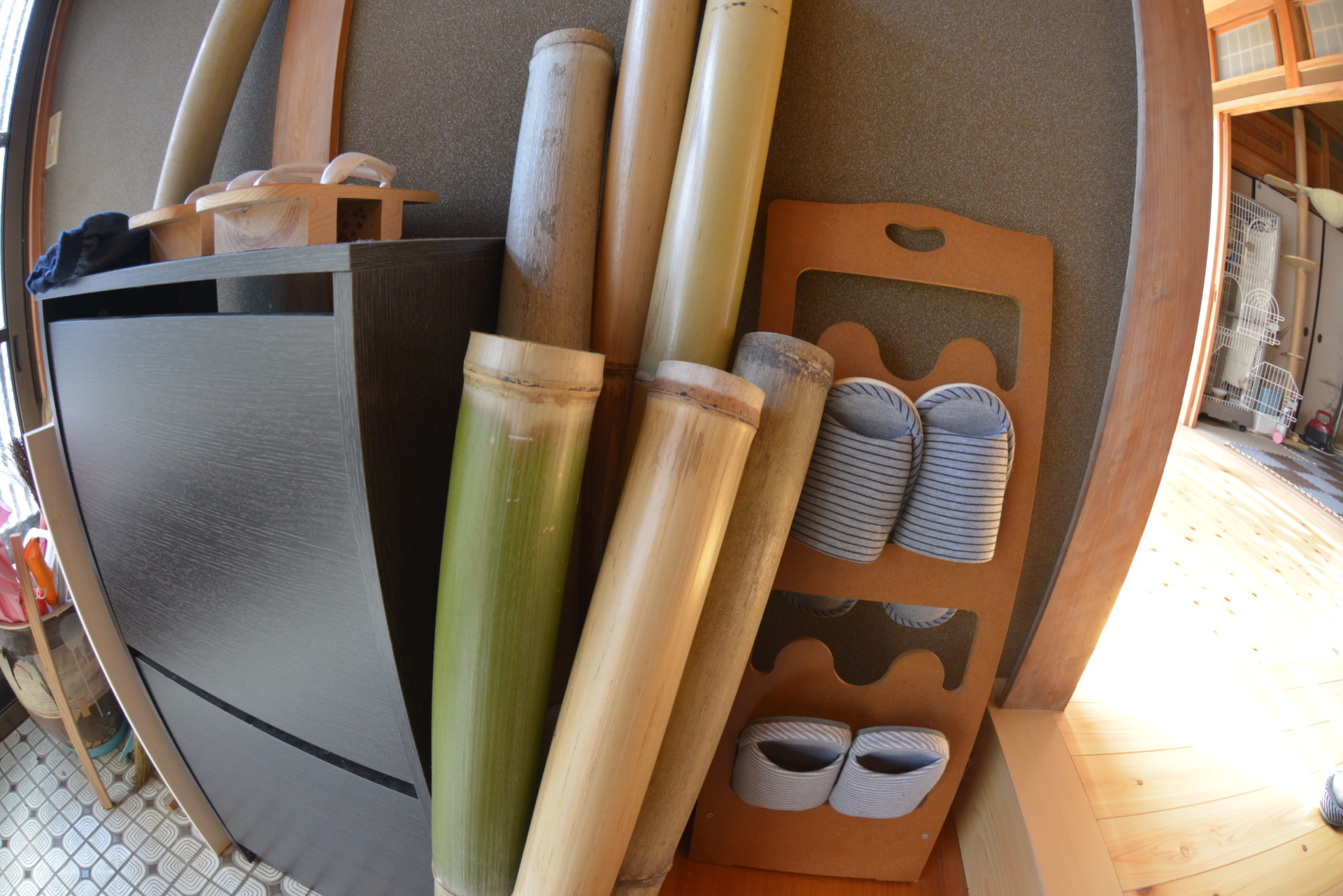 映画の美術スタッフとして全国を飛び回る多忙な生活から一転。たどり着いた豊後高田での田舎暮らし。