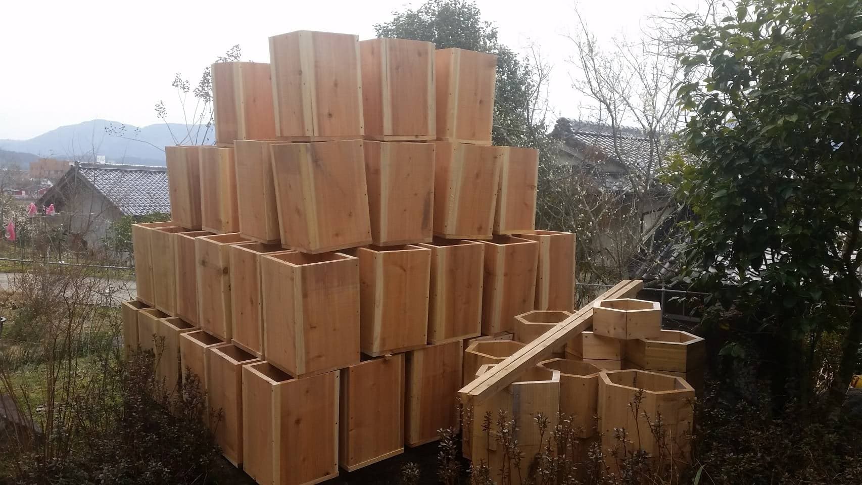 バイクのスタントマンから、日本蜜蜂専門の蜜蜂農家へ。直感を信じて切り開く新たなライフスタイル。