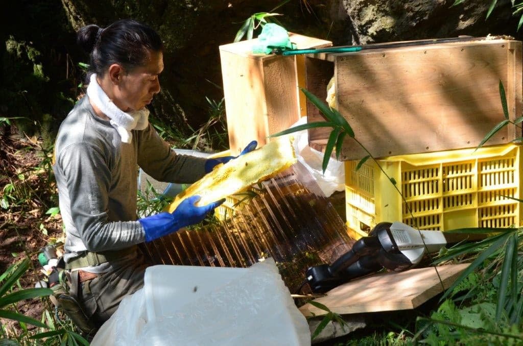 バイクのスタントマンから、日本蜜蜂専門の蜜蜂農家へ。直感を信じて切り開く新たなライフスタイル。