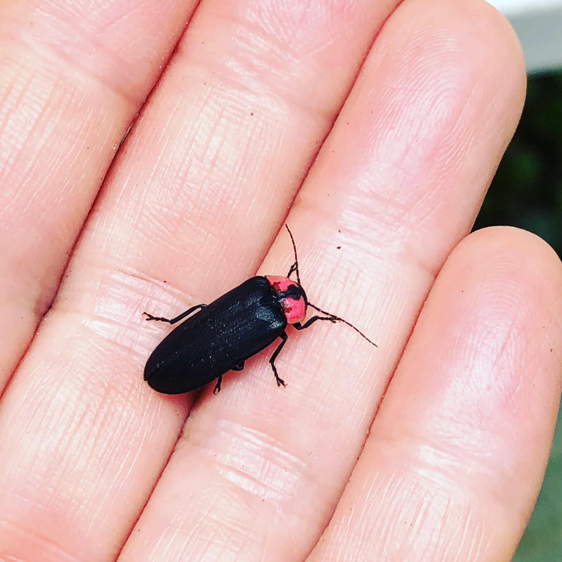 30年続けたデザイナーとしてのキャリアから離れ、伐株山の麓ではじめた自然溢れる暮らし。