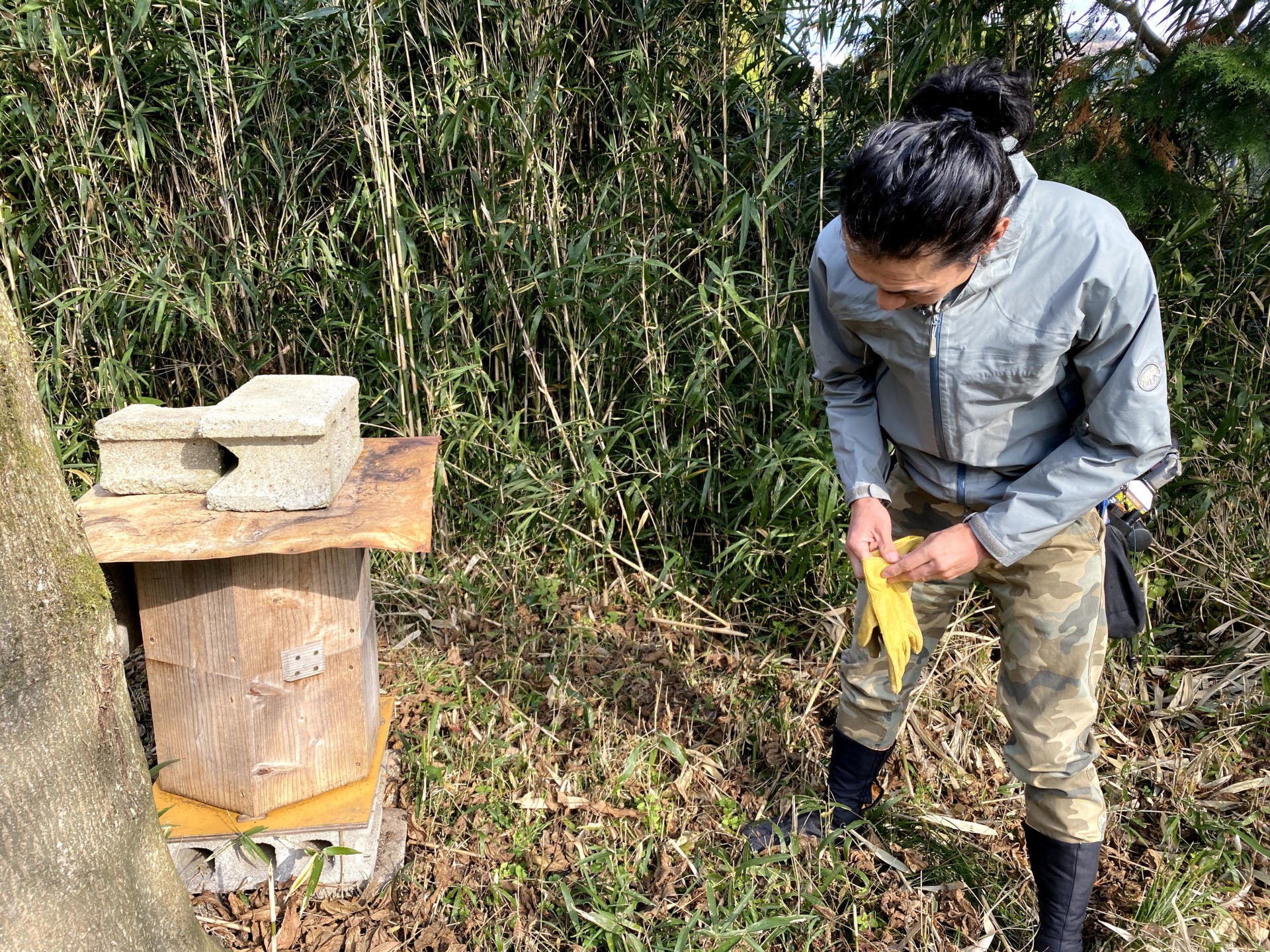 バイクのスタントマンから、日本蜜蜂専門の蜜蜂農家へ。直感を信じて切り開く新たなライフスタイル。