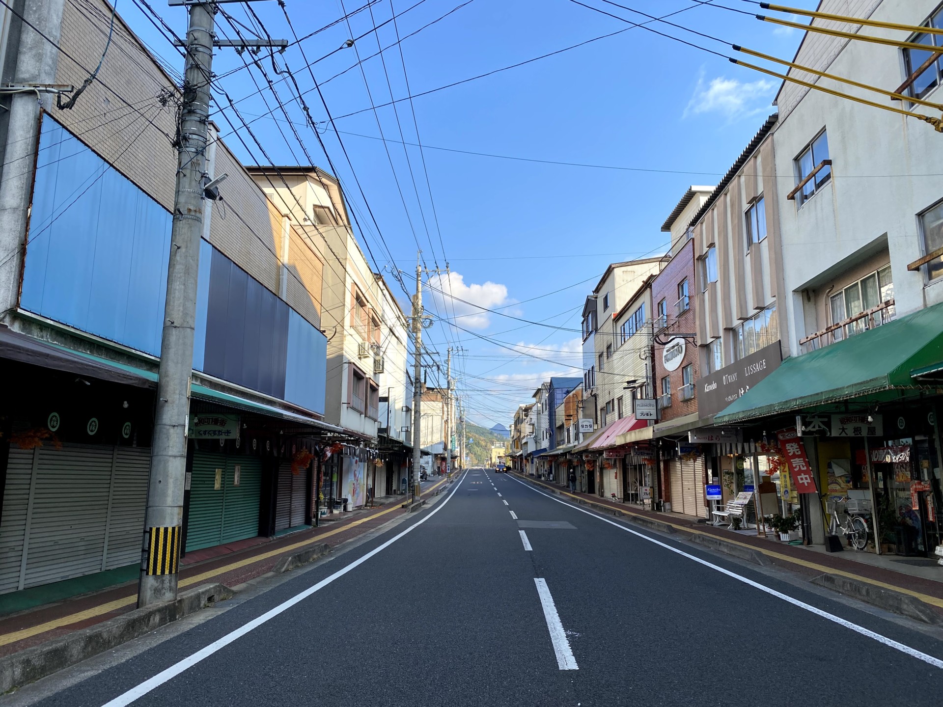 バイクのスタントマンから、日本蜜蜂専門の蜜蜂農家へ。直感を信じて切り開く新たなライフスタイル。