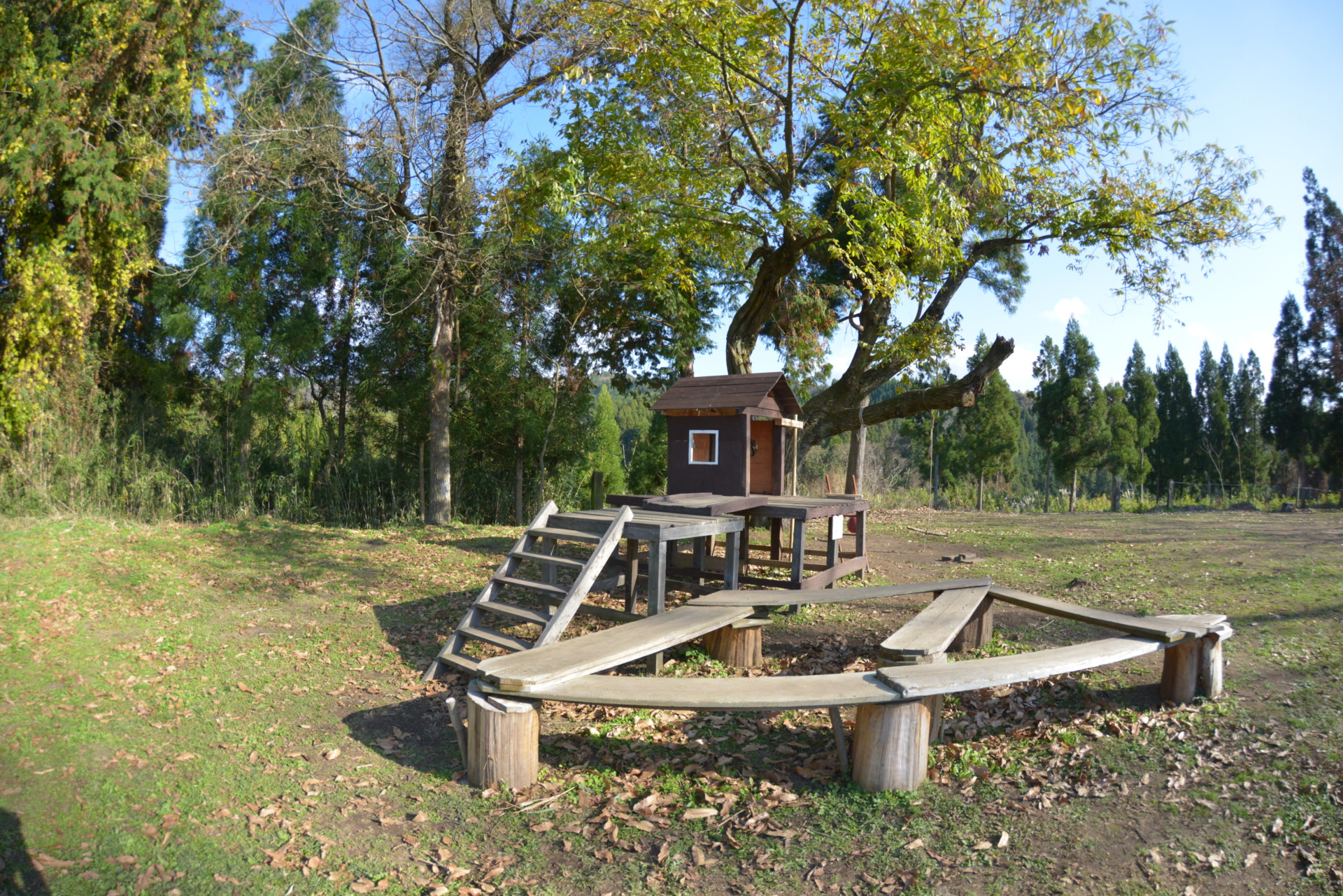 都会での生活から一転、起業のために縁もゆかりもない玖珠町へ。想いを実現するための田舎暮らし。