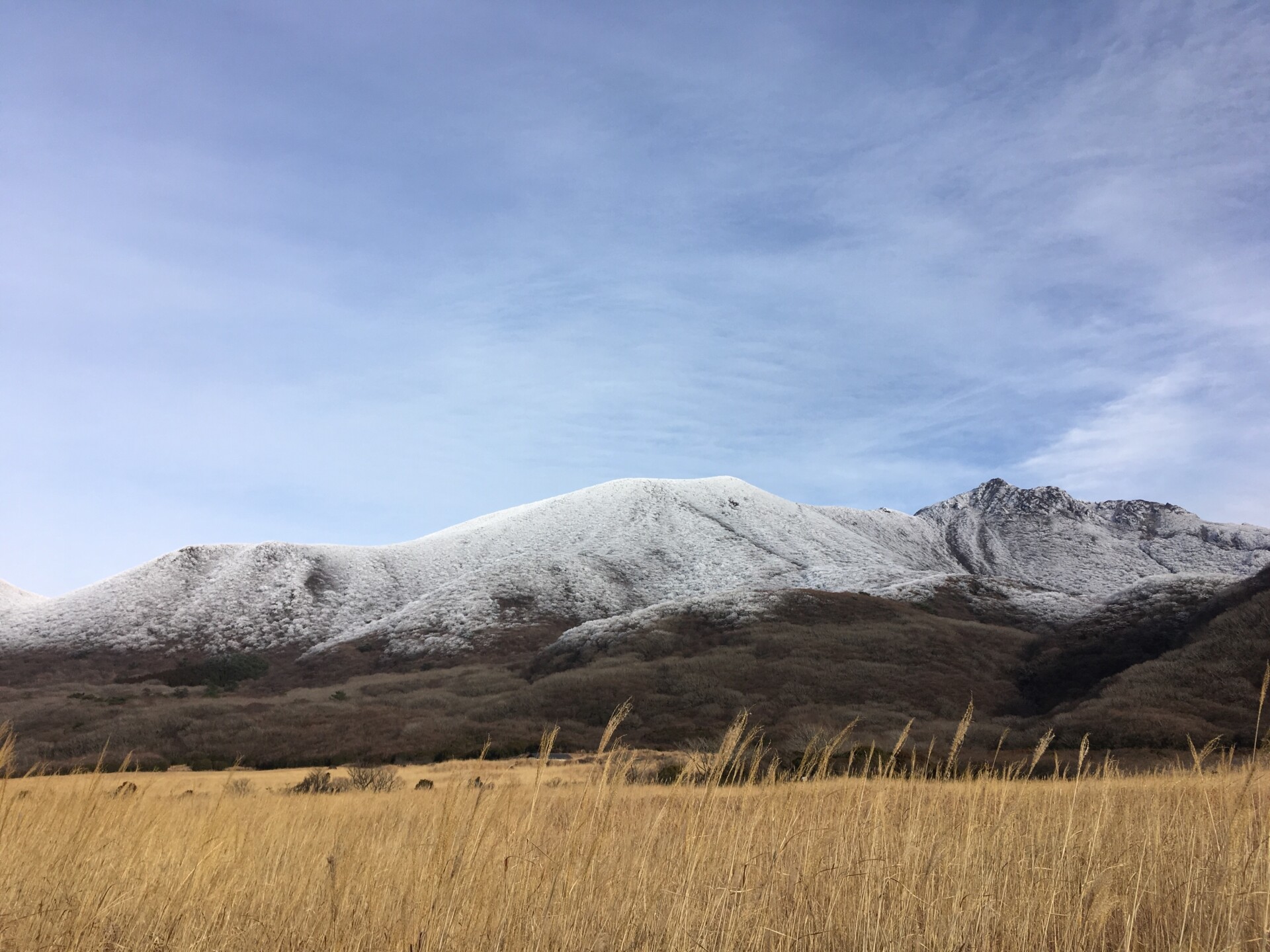 ヨガや瞑想、音楽を通して、夫婦でコミュニティを耕す暮らし。