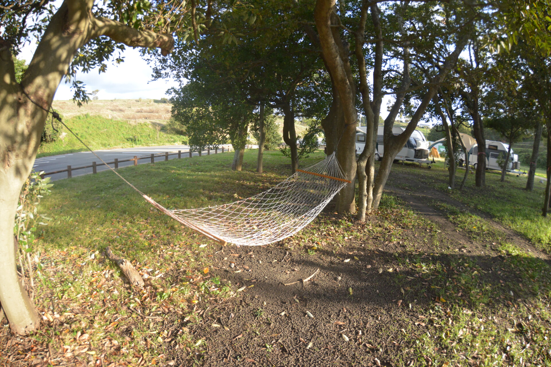 サウナの魅力を活かした事業を自らの手で。恋人を迎え、田舎で築いていく理想の暮らし。