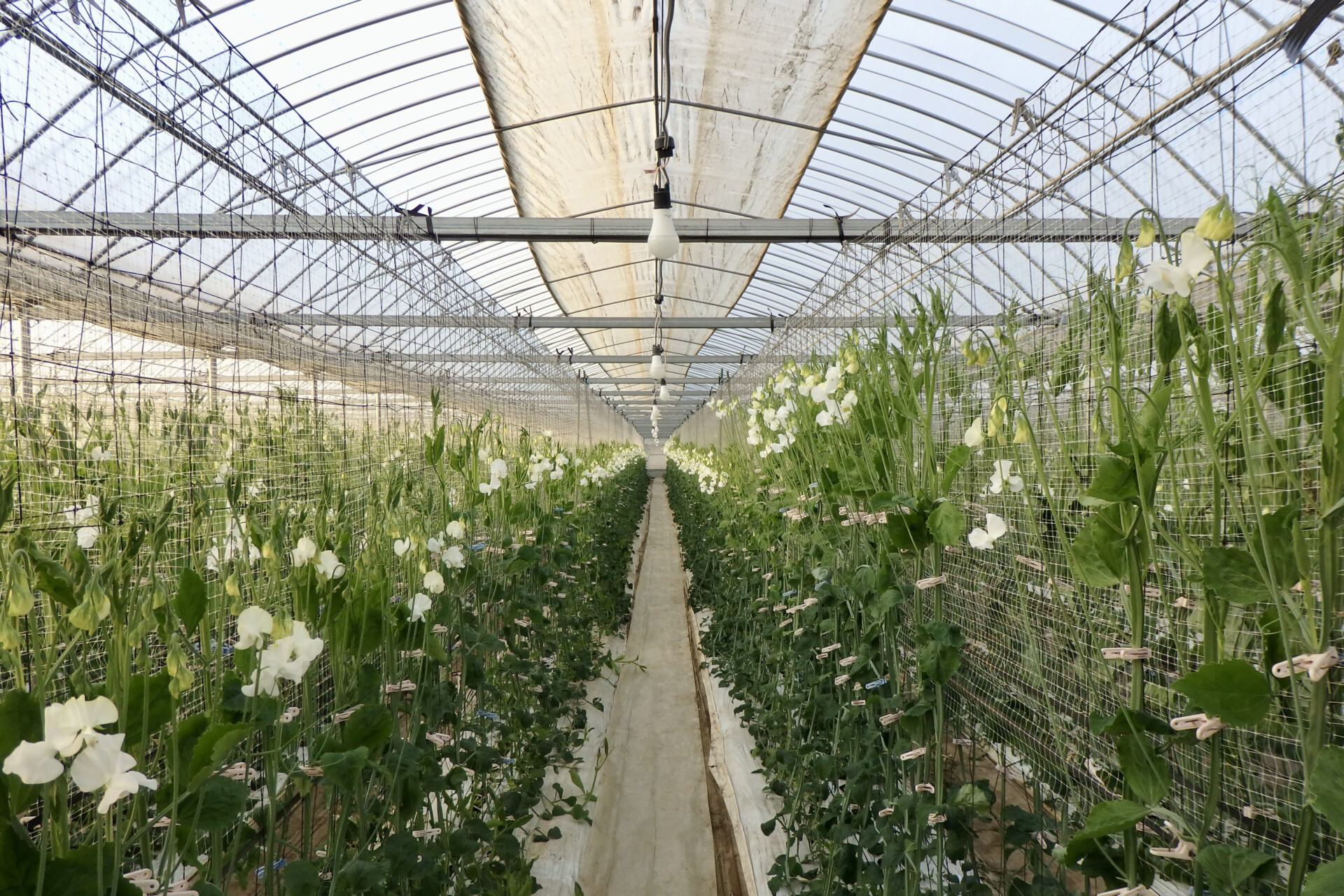 会社員から農家へ。夫婦二人三脚で農業と地域の可能性をさぐる。