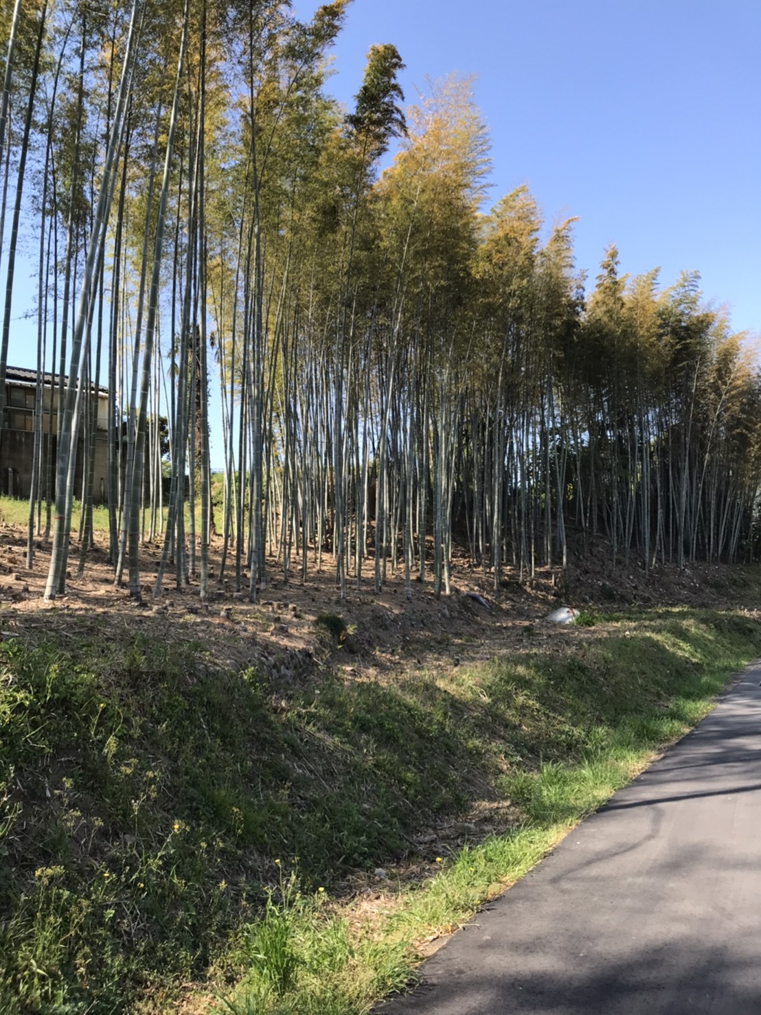 のびのびとした環境で子育てしたい。田舎で得た家族の笑顔が溢れる暮らし。