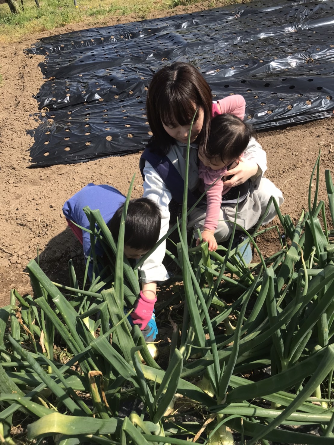 のびのびとした環境で子育てしたい。田舎で得た家族の笑顔が溢れる暮らし。