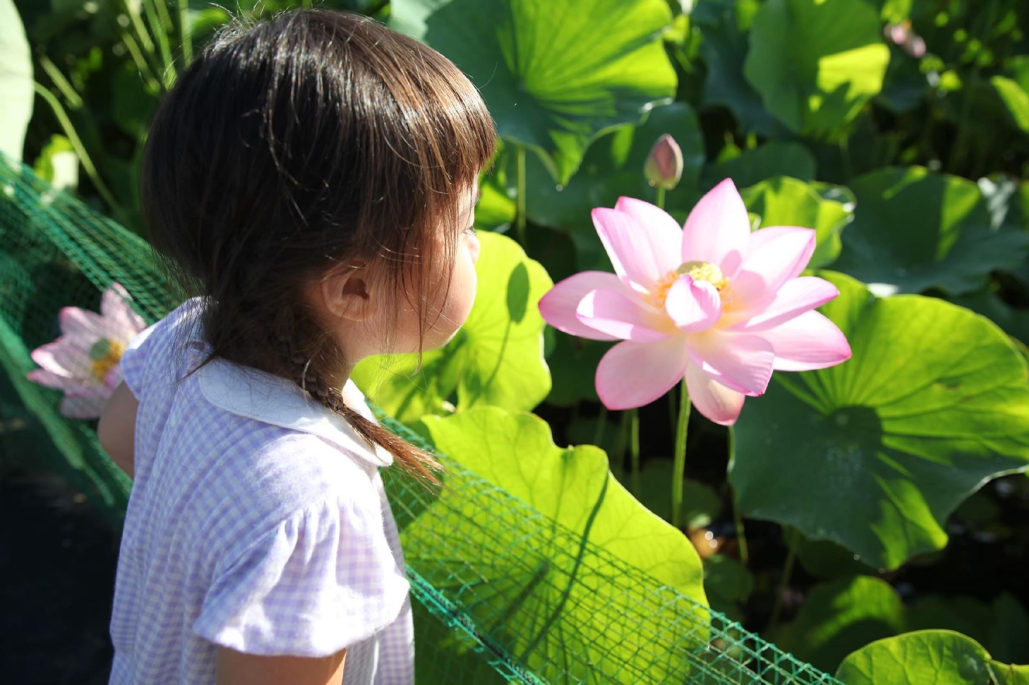 ベリーダンスと子育てを通じて自然を身近に感じる暖かな暮らし。
