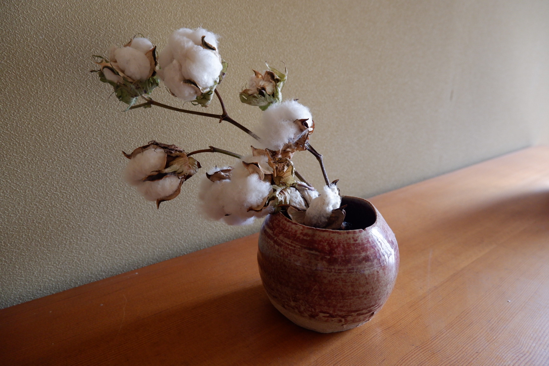 とりあえずやってみないと、の精神で着実に夢をカタチに。ものづくりの楽しさを伝えていきたい。