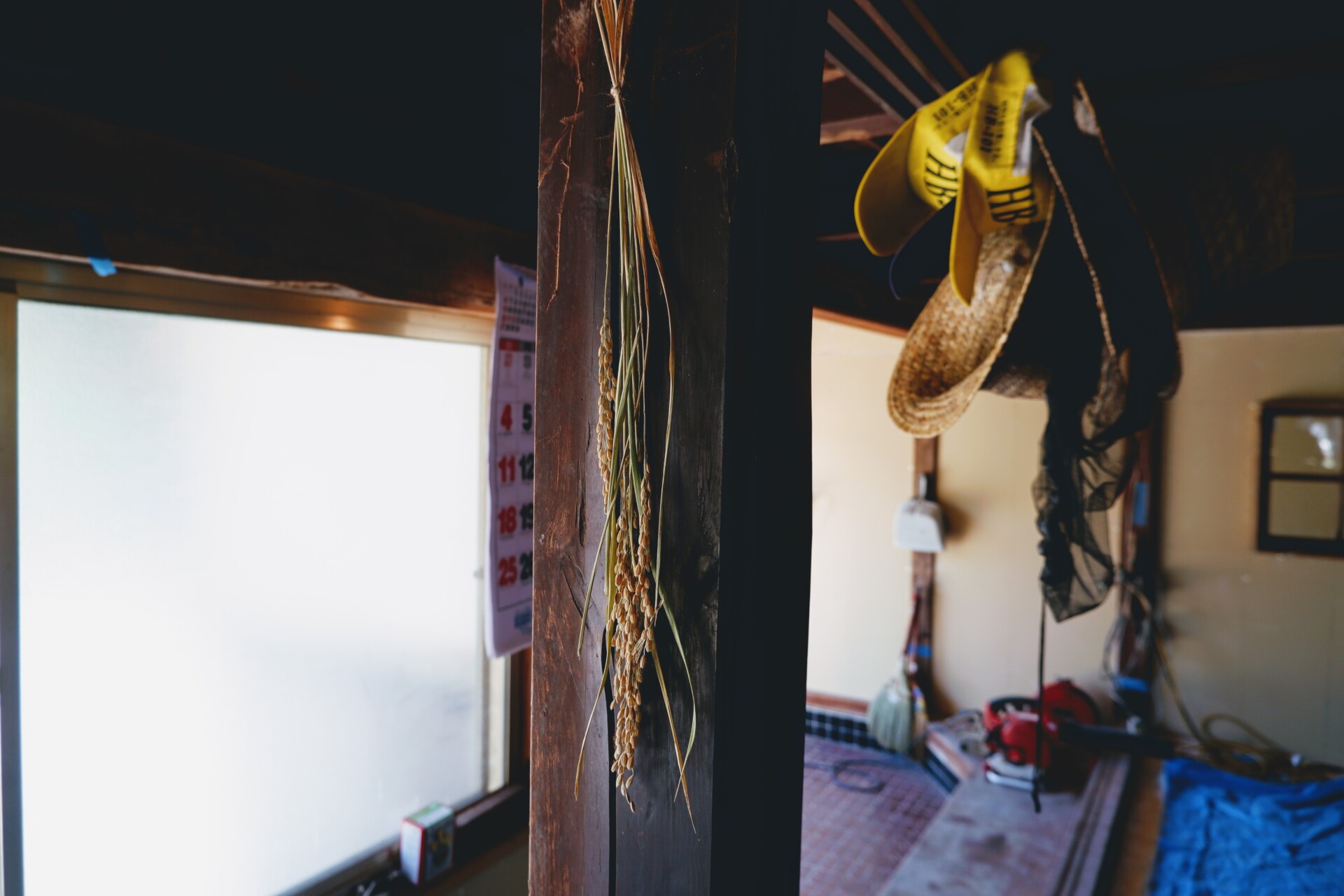 想いを言葉にすれば、助けてくれる杵築の人々に支えられ、自らの手で0から作る杵築暮らし。