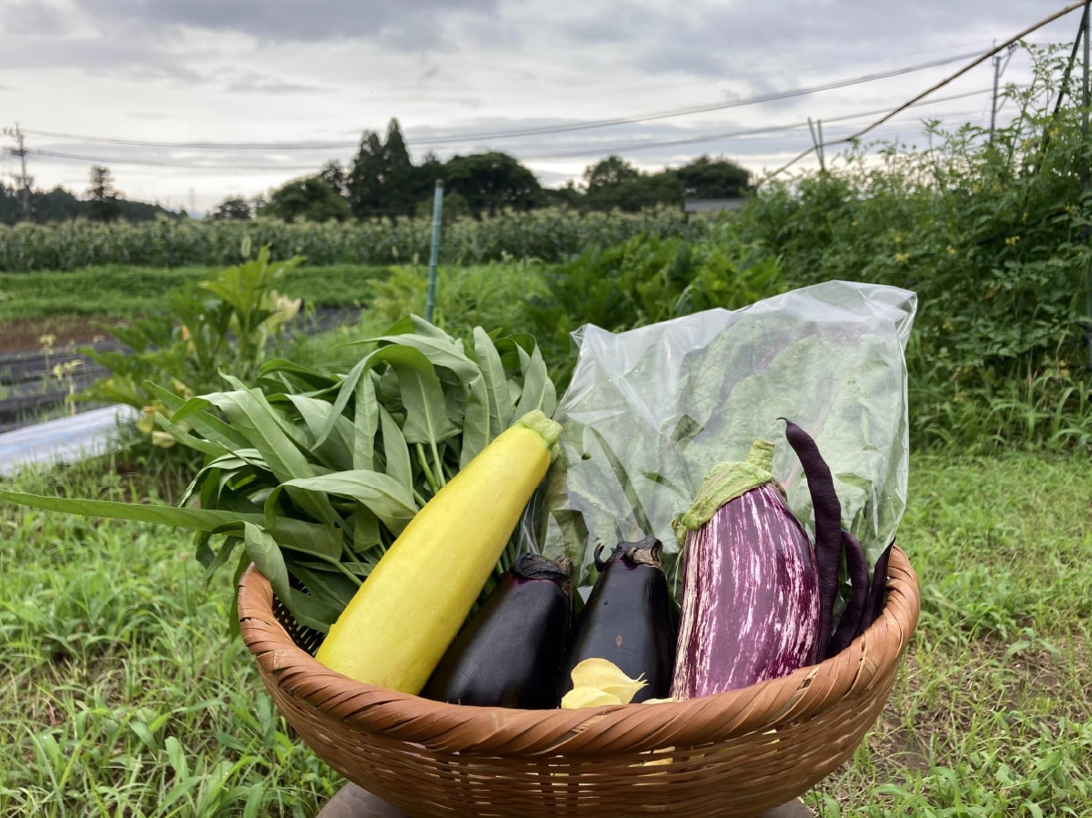 無農薬野菜のの写真