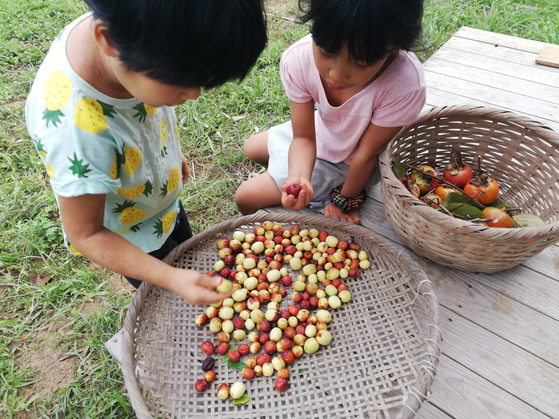一緒に楽しもう!自身の経験を生かして作った自給自足のフリースクール「みんなの学校」