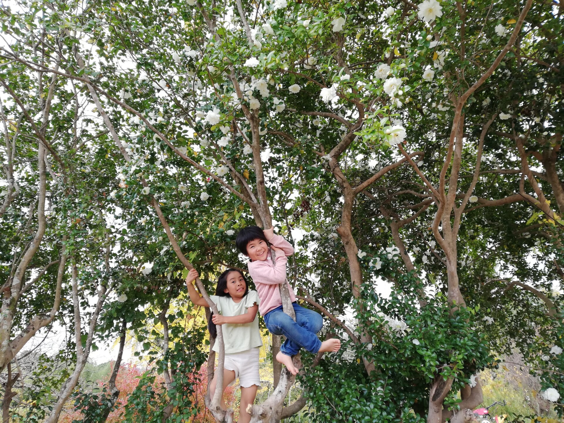 一緒に楽しもう!自身の経験を生かして作った自給自足のフリースクール「みんなの学校」