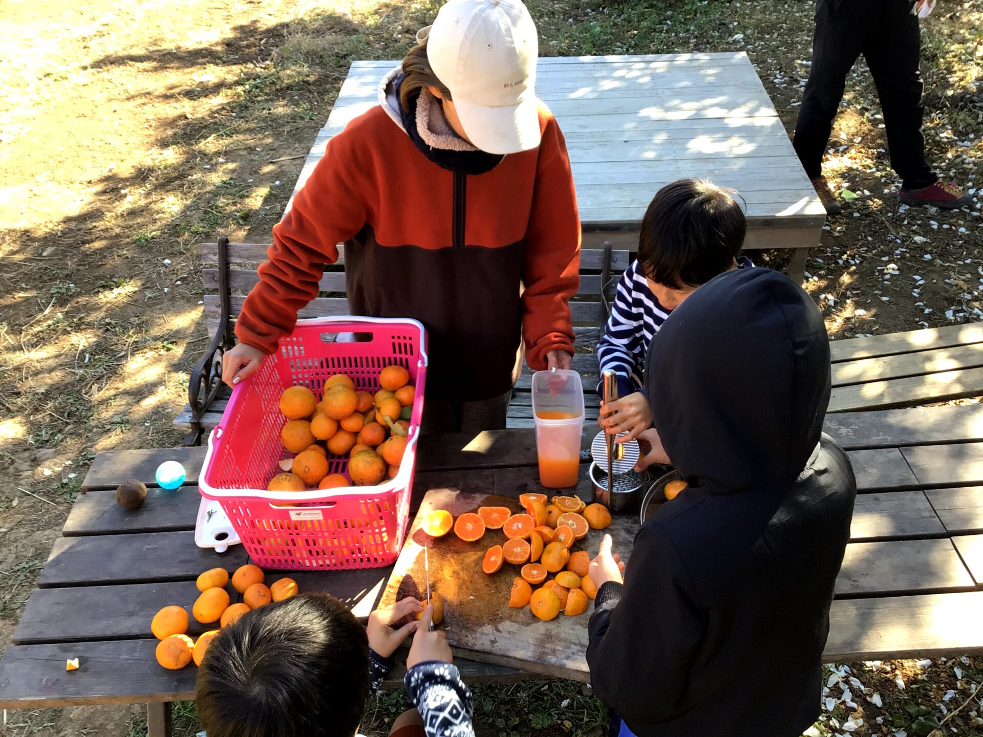 一緒に楽しもう!自身の経験を生かして作った自給自足のフリースクール「みんなの学校」