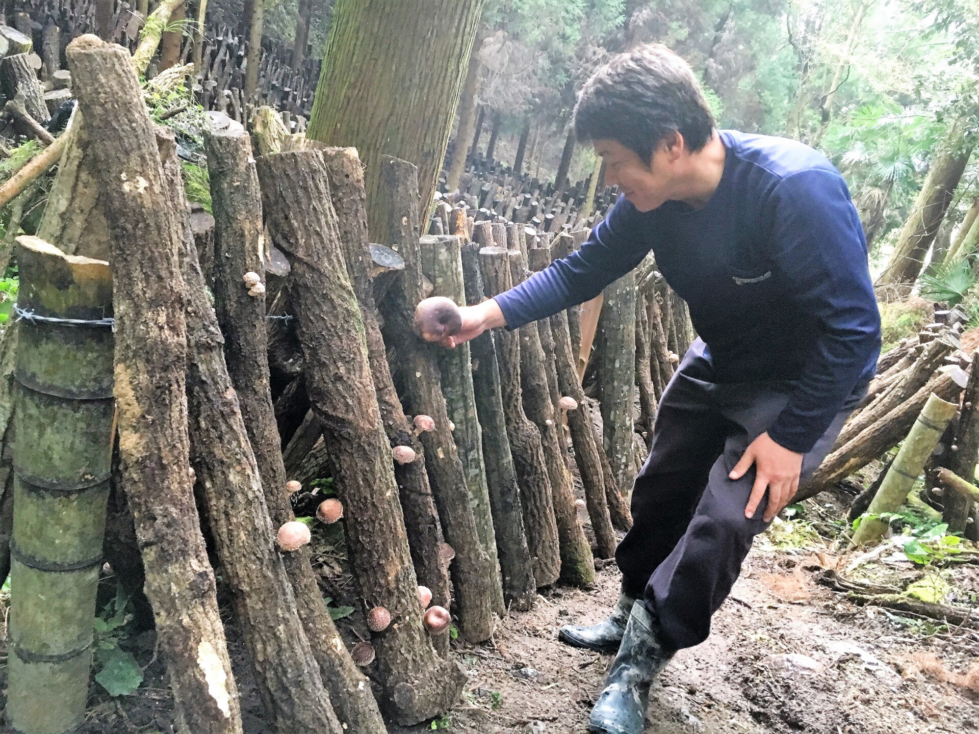やむちゃで手と手を結ぶ、自ら楽しむ中津暮らし。