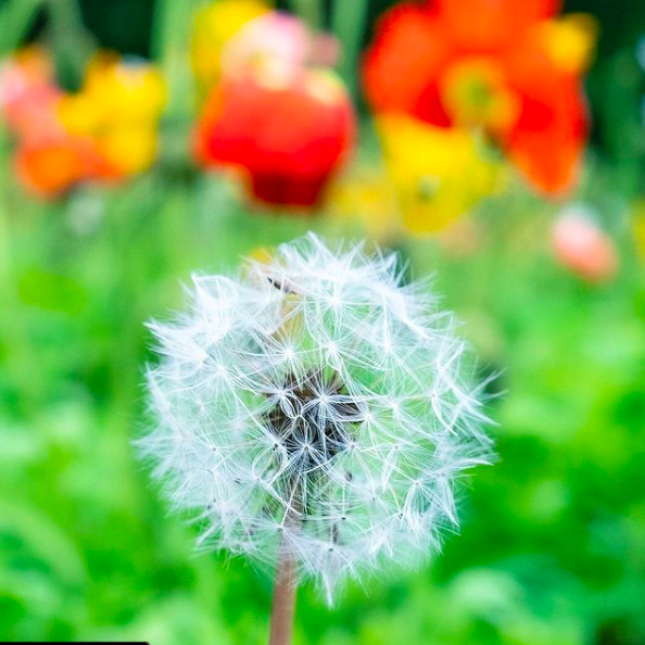 東京での生活を経て、直感を信じて大分市へ。