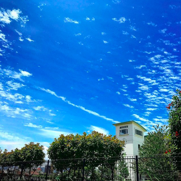 東京での生活を経て、直感を信じて大分市へ。