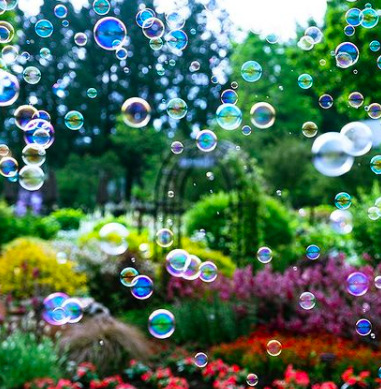 東京での生活を経て、直感を信じて大分市へ。