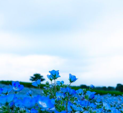 東京での生活を経て、直感を信じて大分市へ。