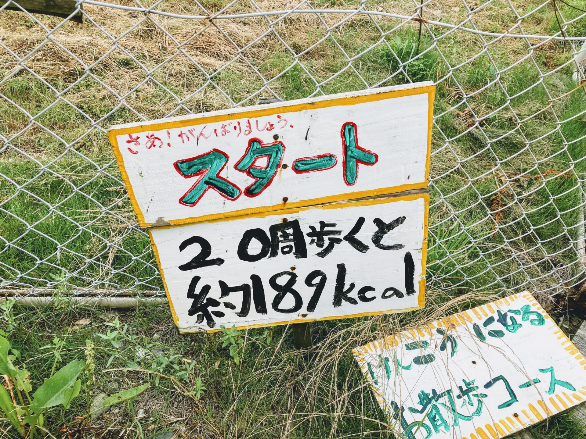 子どもは島に3人だけ。一周回って最先端の島で暮らしをみんなで作ろう。