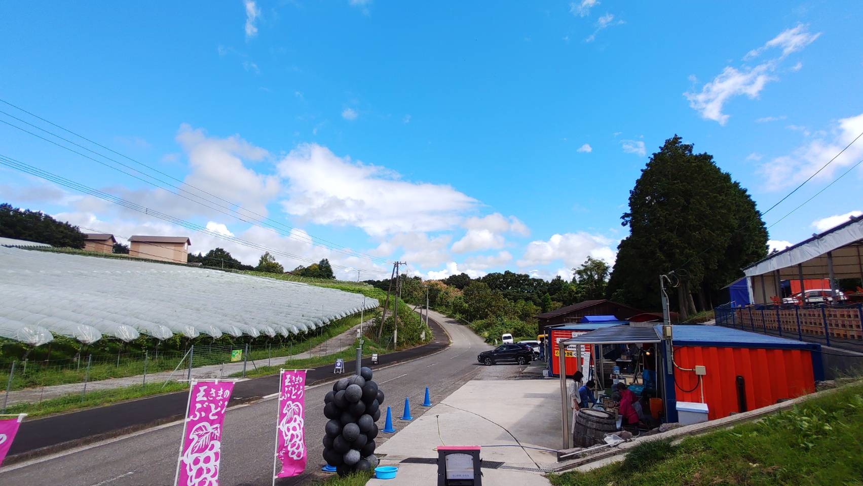 大分県で働こう!~農業編〜安心院から農業に新たな風を吹き込む農家集団