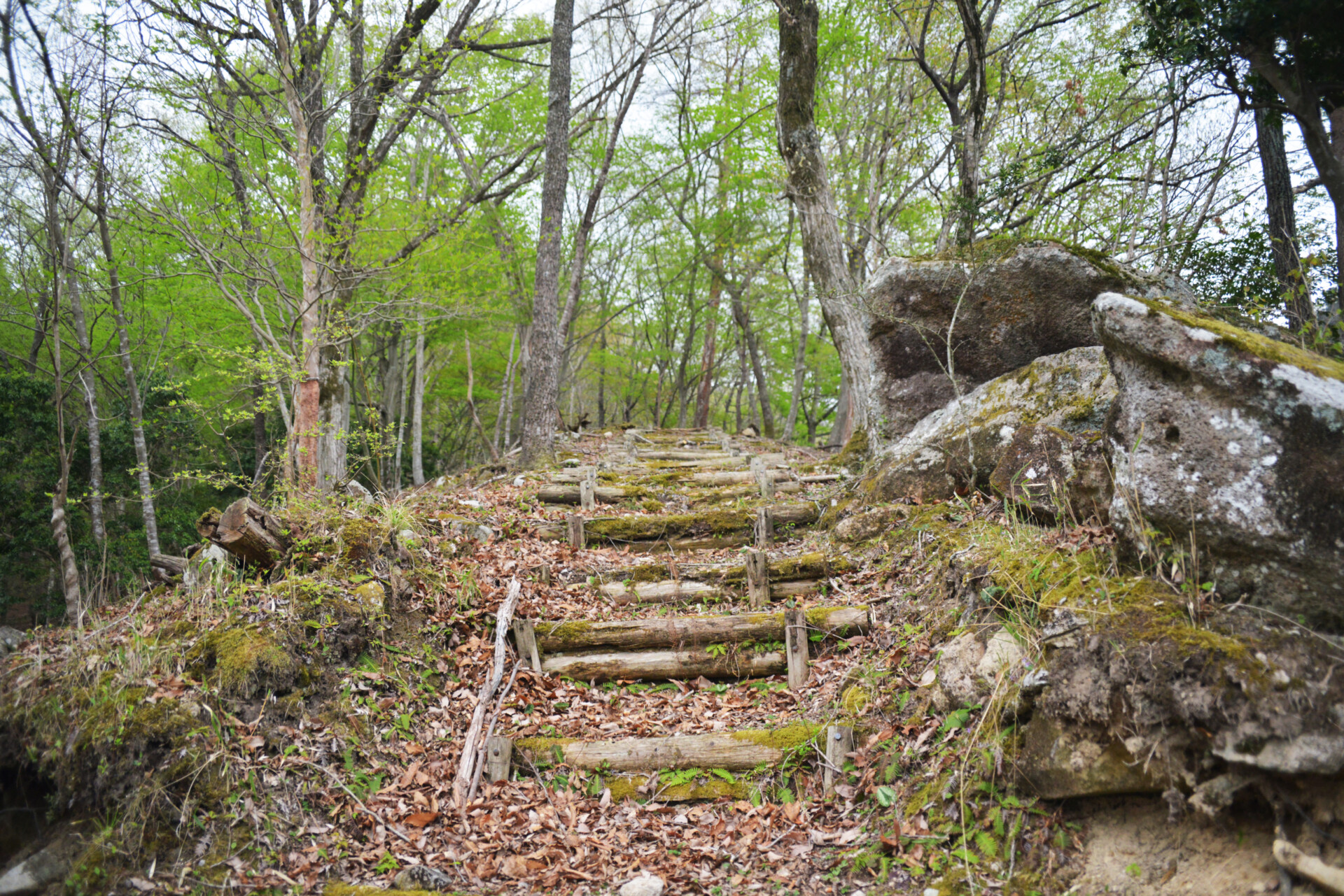 持ち前の行動力で憧れだった田舎暮らしを実現。伐株山から広がる可能性。