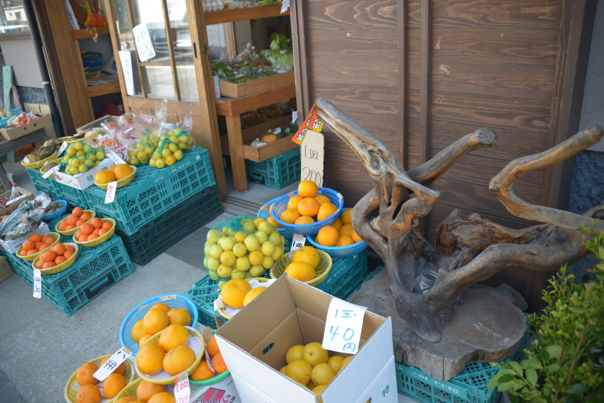 様々な経験を糧に、地域の担い手として臼杵市で築き上げた理想の暮らし。