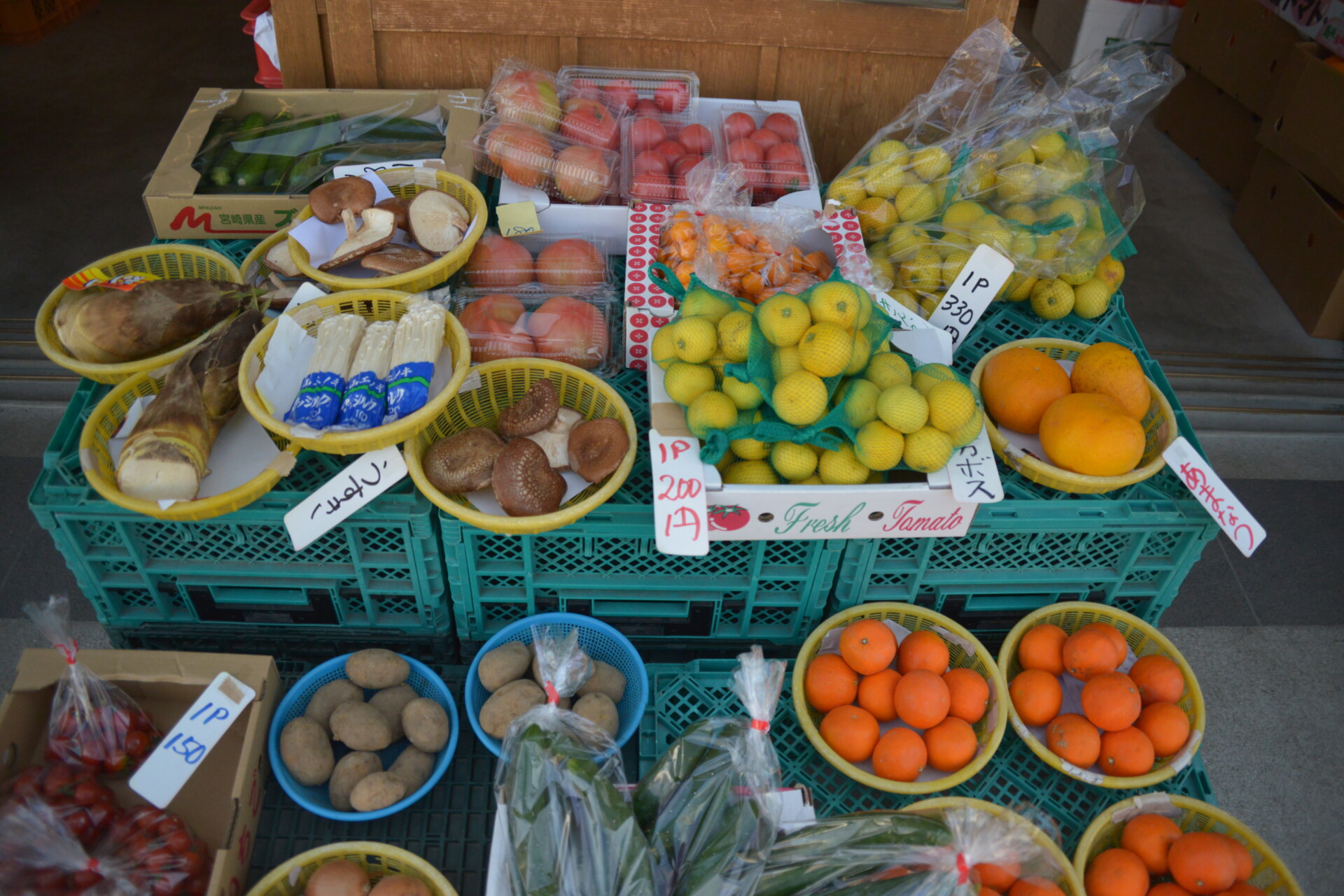 様々な経験を糧に、地域の担い手として臼杵市で築き上げた理想の暮らし。
