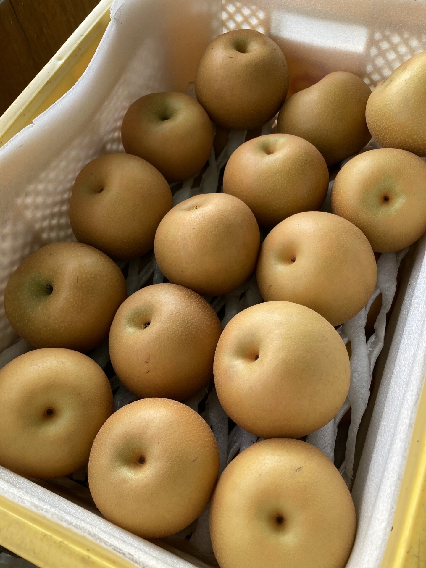 脱サラし農地を求めてたどり着いた由布市で送る、初めての田舎暮らし。