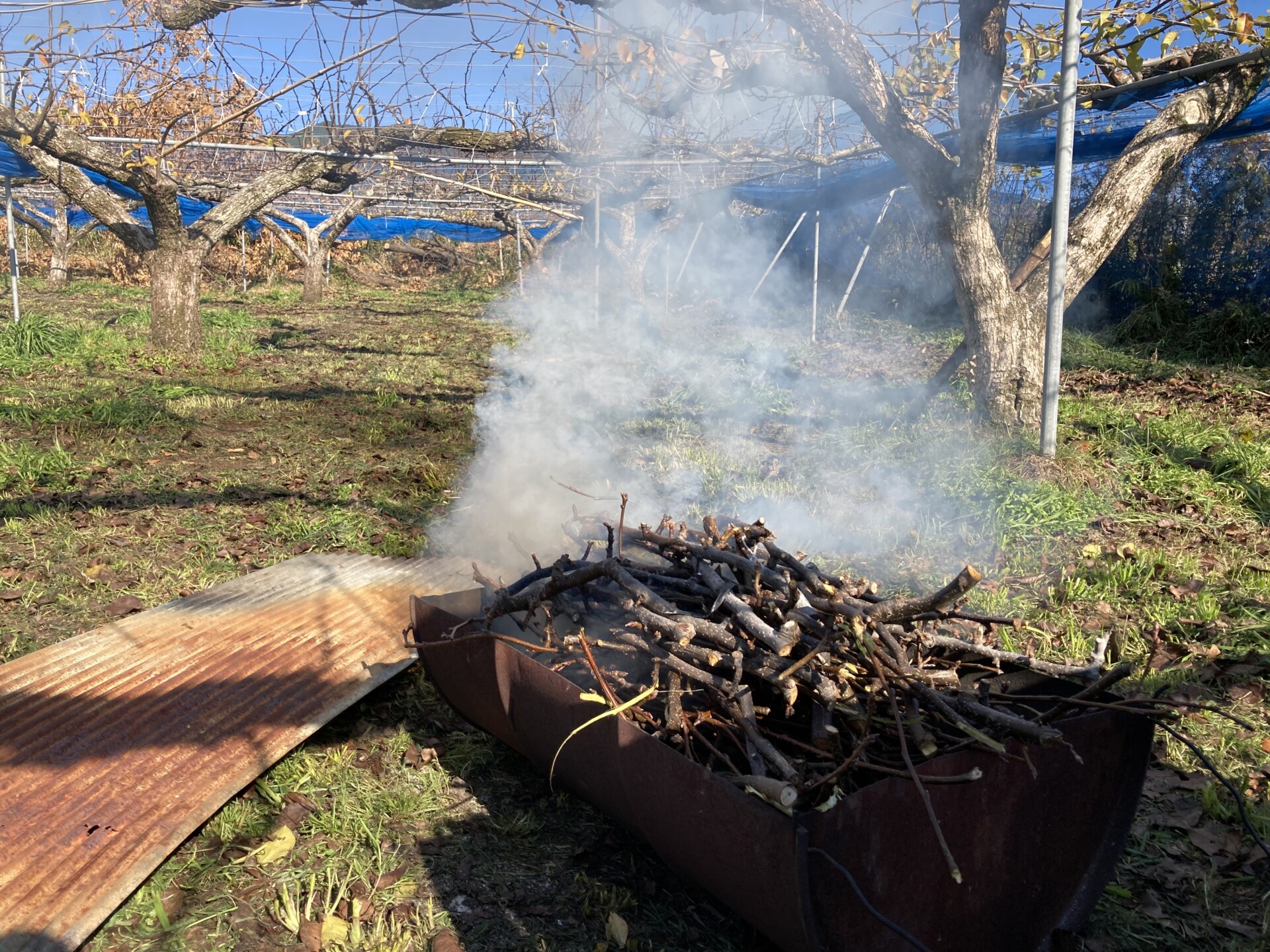 脱サラし農地を求めてたどり着いた由布市で送る、初めての田舎暮らし。