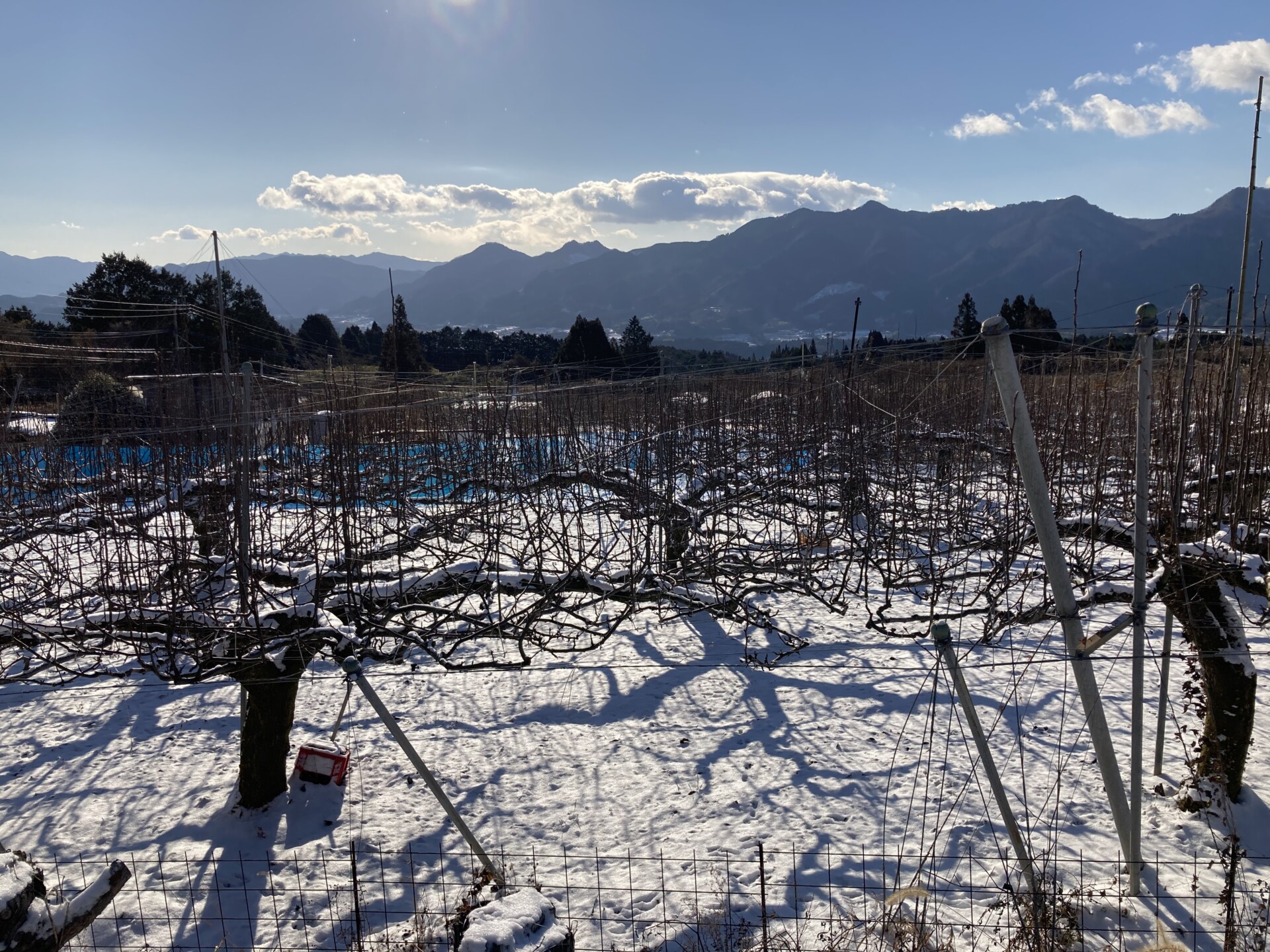 脱サラし農地を求めてたどり着いた由布市で送る、初めての田舎暮らし。