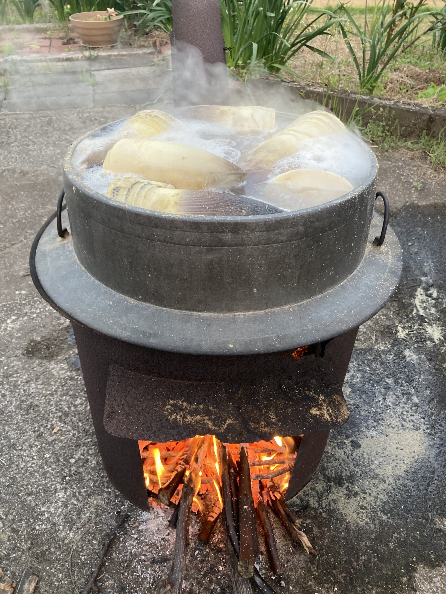 脱サラし農地を求めてたどり着いた由布市で送る、初めての田舎暮らし。