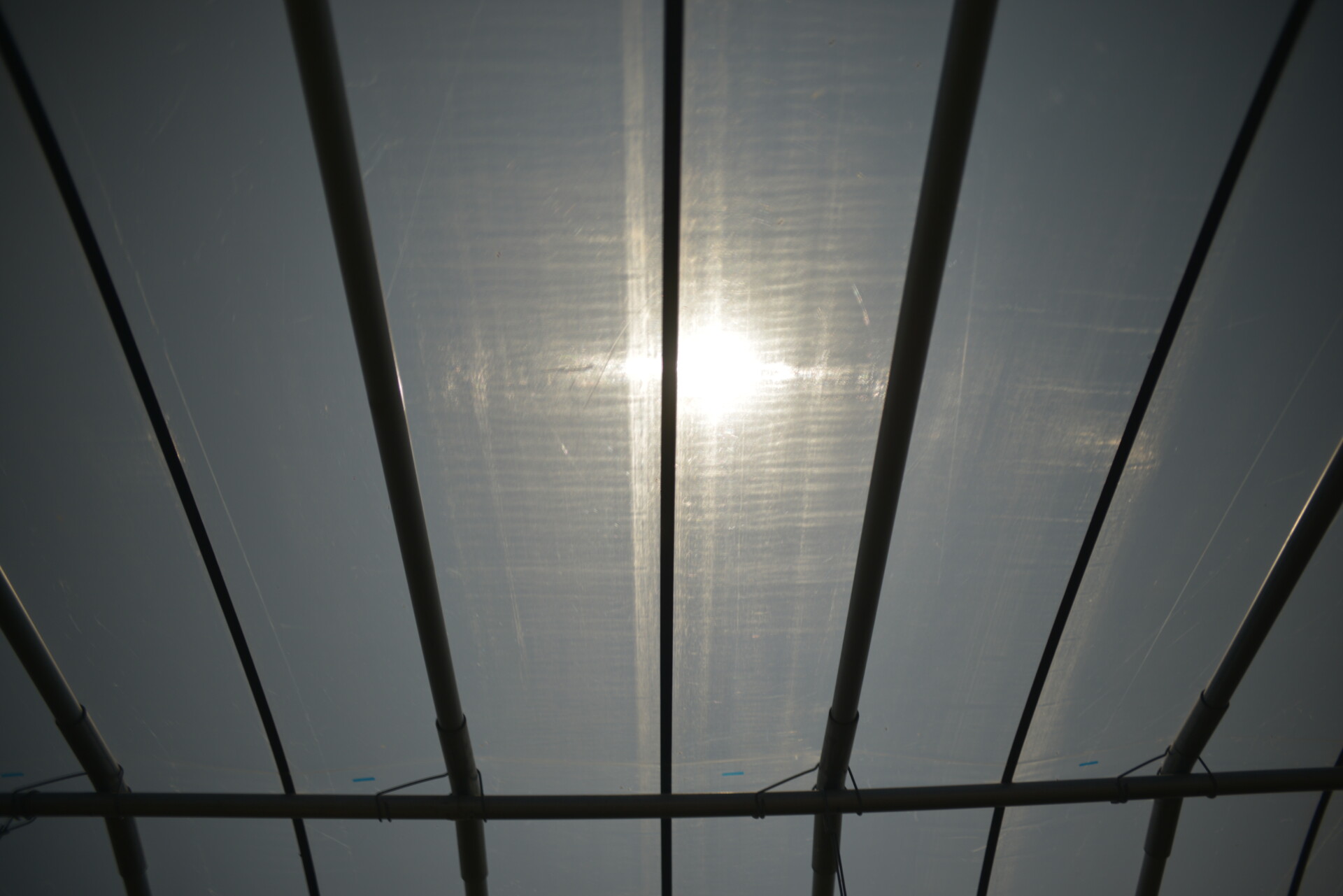 都会の生活から、就農を通じて新たな道へ。大好きな自然に囲まれた田舎暮らし。