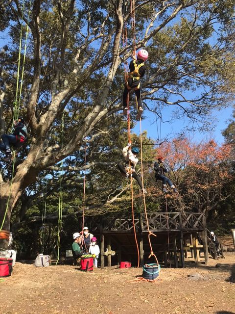 自然豊かな子育て環境を求めて移住。田舎の良さと町の利便性が両立した理想の暮らし。