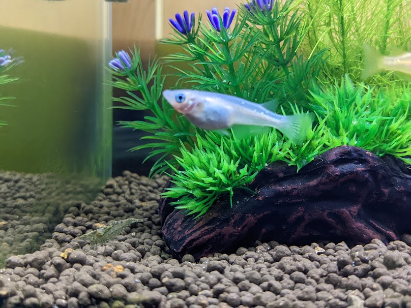 定年退職後に選んだのは、温かい人々の住む玖珠町での暮らし。