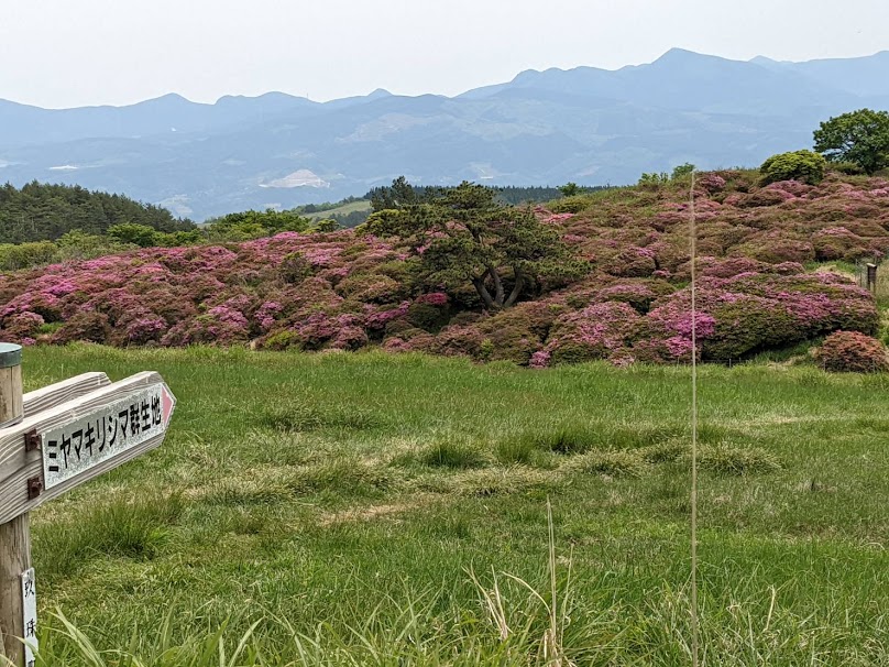 定年退職後に選んだのは、温かい人々の住む玖珠町での暮らし。